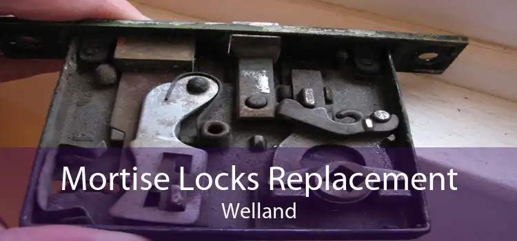 Mortise Locks Replacement Welland
